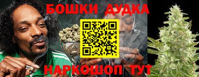 дмт Сланцы