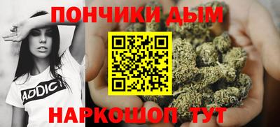 дмт Сланцы