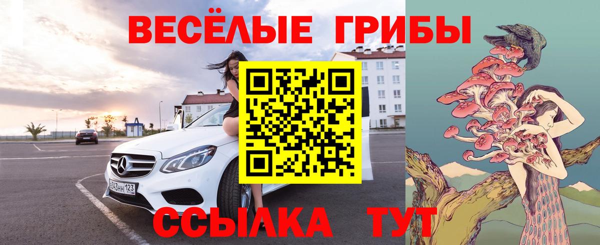 Галлюциногенные грибы Cubensis Чайковский